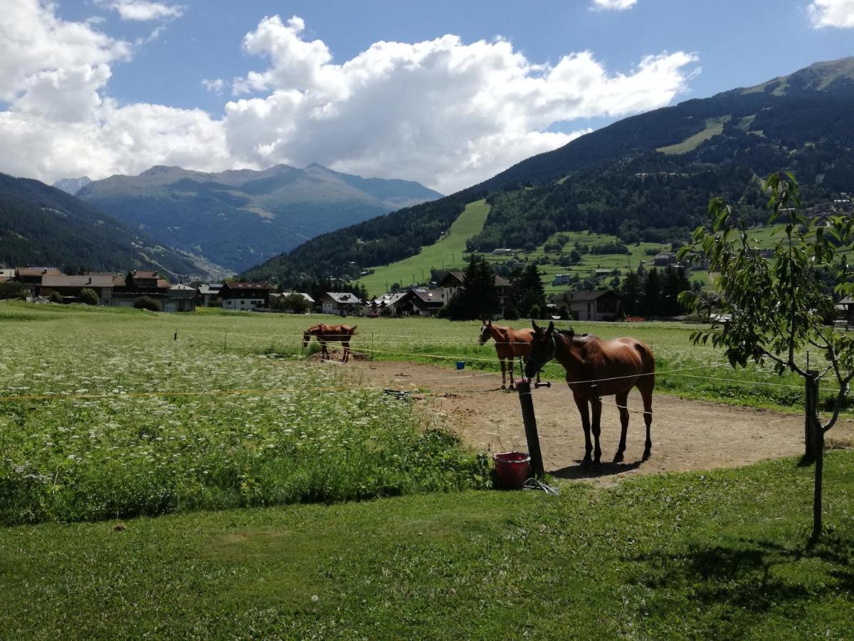 Casa Giulia Apartment Bormio Luaran gambar