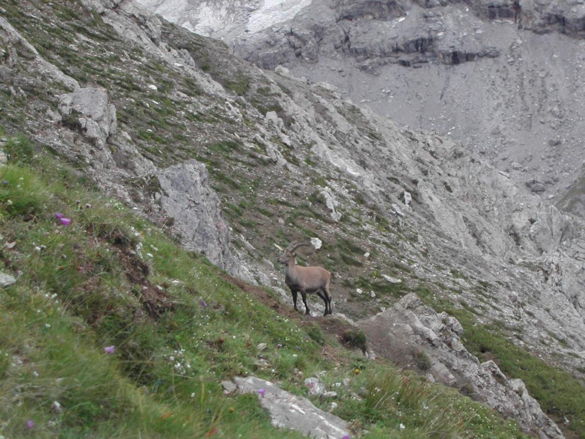 Casa Giulia Apartment Bormio Luaran gambar